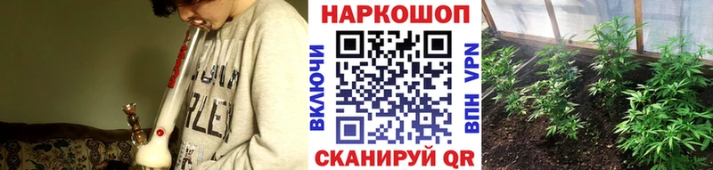 Купить наркотики цена Егорьевск СК  Бошки Шишки  АМФ  Гашиш  COCAIN  Меф 