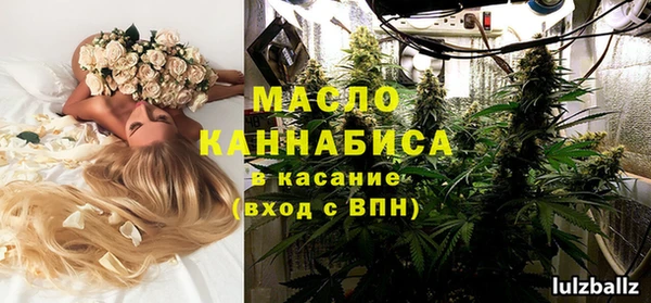 сатива Гусев