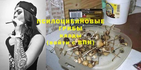 альфа пвп Гусь-Хрустальный