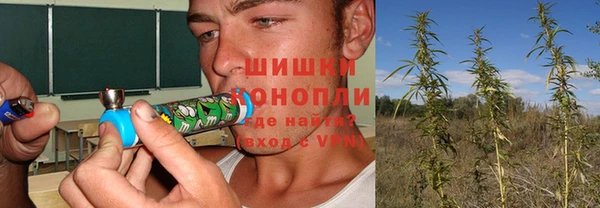 винт Магас