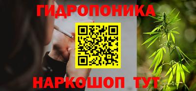 мяу мяу мука Будённовск