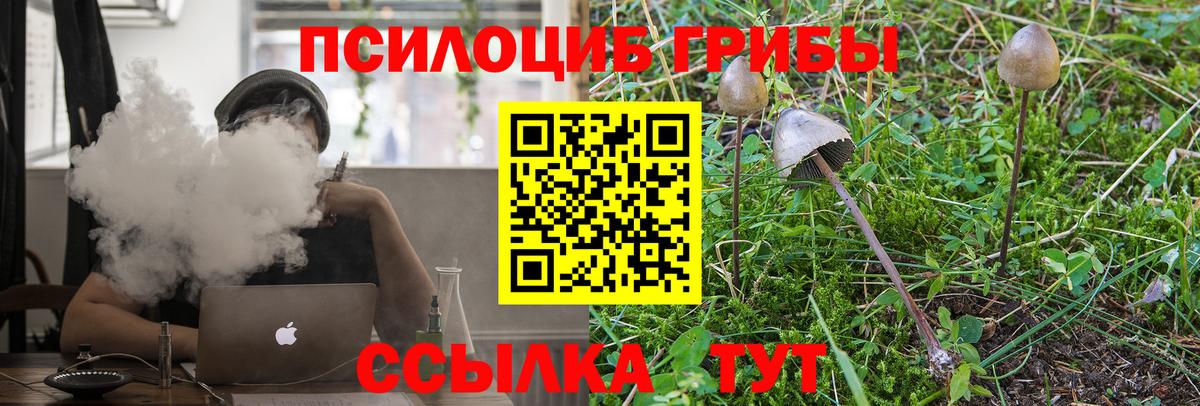 Галлюциногенные грибы Cubensis  даркнет сайт  Егорьевск  Вход с VPN  Псилоцибиновые грибы прущие грибы 