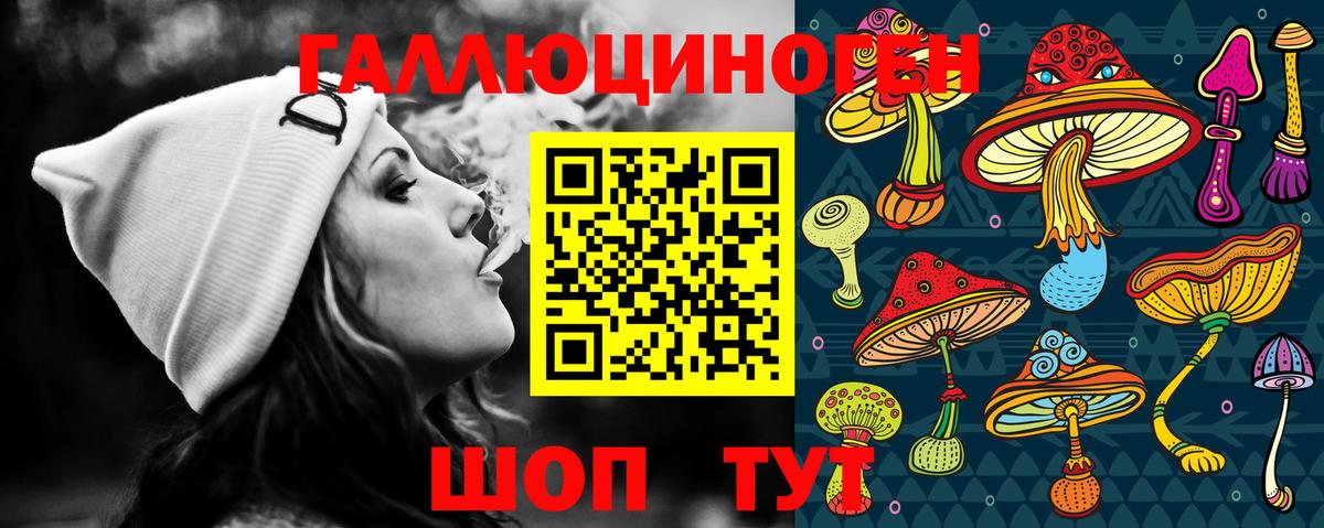 Псилоцибиновые грибы GOLDEN TEACHER  закладка  Егорьевск 